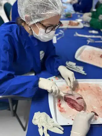 curso habilitação em sutura em joão pessoa pb cte saúde