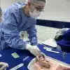 curso habilitação em sutura em joão pessoa pb cte saúde