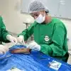 curso habilitação em sutura em joão pessoa pb cte saúde