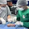 curso habilitação em sutura em joão pessoa pb cte saúde